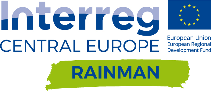 Rainman - logo