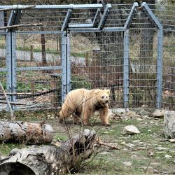 Jihočeská zoologická zahrada v Hluboké nad Vltavou má opět otevřeno.