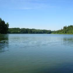 Rybník Osika u Albeře.