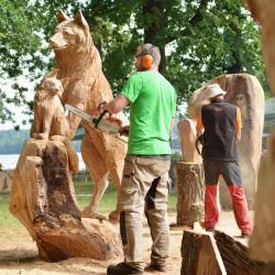ZOO Hluboká má nové sochy zvířat. Umělci je vytvořili v rámci dřevosochařského sympiozia (foto ZOO Hluboká).