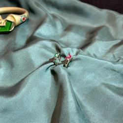 Historicky poprvé byly dnes představeny snubní prsteny Petra Voka z Rožmberka a Kateřiny z Ludanic. Jedná se o neobvyklé párové prsteny, které jsou osazeny broušenými smaragdy, rubíny a dozdobeny zeleným smaltem. Zlatníci je vytvořili podle digitálních modelů z autentických materiálů.