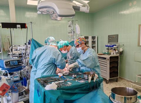 Chirurgické oddělení Nemocnice České Budějovice, a.s. je zařazeno do velmi úzké skupiny tzv. „high volume“ neboli vysokoobjemových center, které se specializují na operace slinivky břišní, dále pak na onemocnění jater a žlučových cest. 
