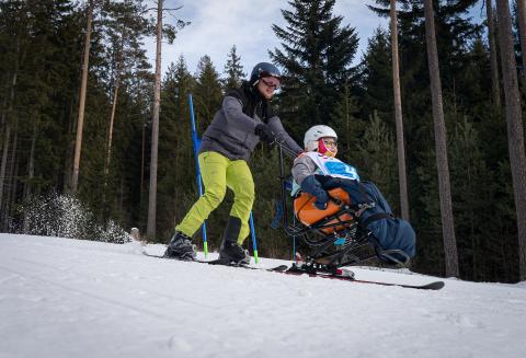 V4 Winter Games Emil Open, Jihočeský kraj. 