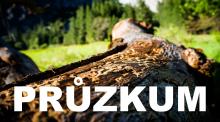 Průzkum: Češi chtějí proti kůrovcové kalamitě postupovat rychlým odstraněním napadených stromů