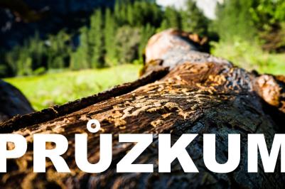 Průzkum: Češi chtějí proti kůrovcové kalamitě postupovat rychlým odstraněním napadených stromů