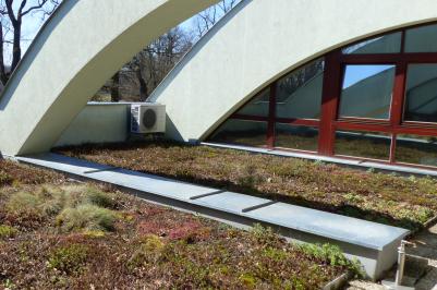 O přízeň poroty i veřejnosti usiluje například projekt zelených střech a přírodě blízkých trvalkových výsadeb v ZOO Hluboká.